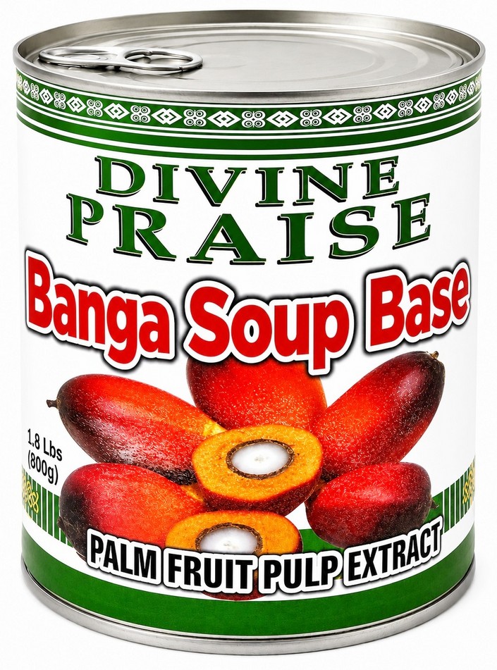DIVINE PRAISE BANGA SOUP BASE 12X800G