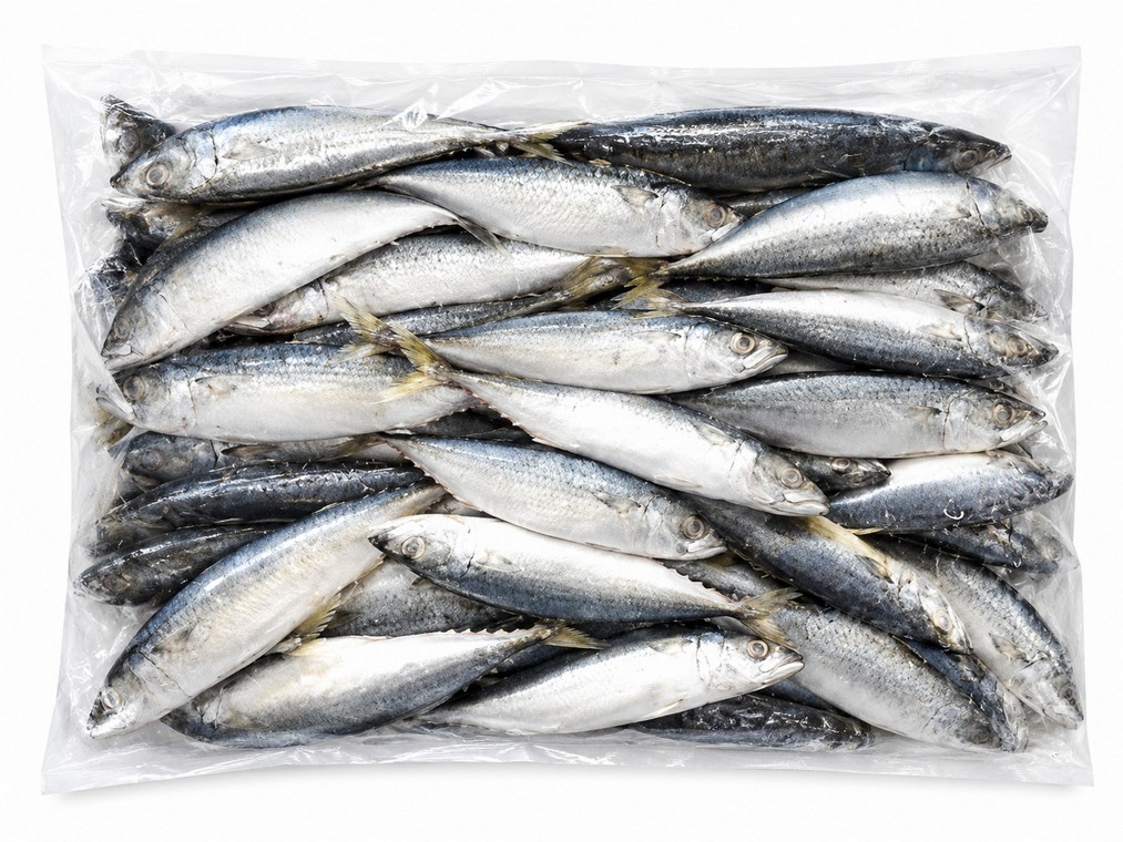JACK/HORSE 20KG MACKEREL WR 500/900 (FROZEN)