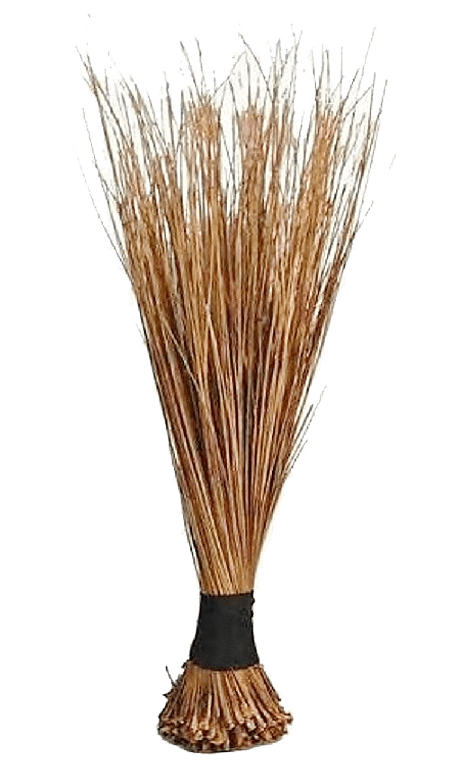 African Broom Small