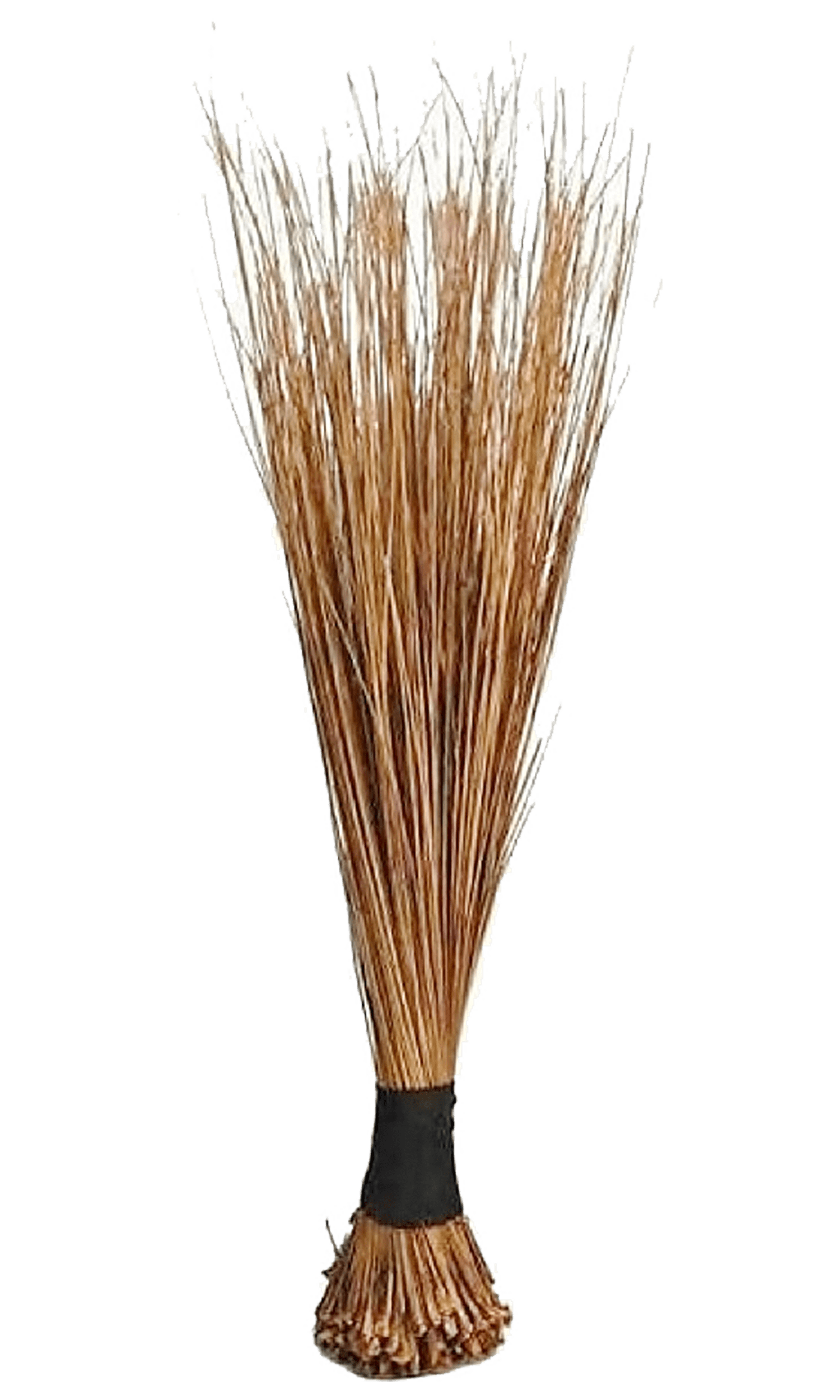 African Broom Large