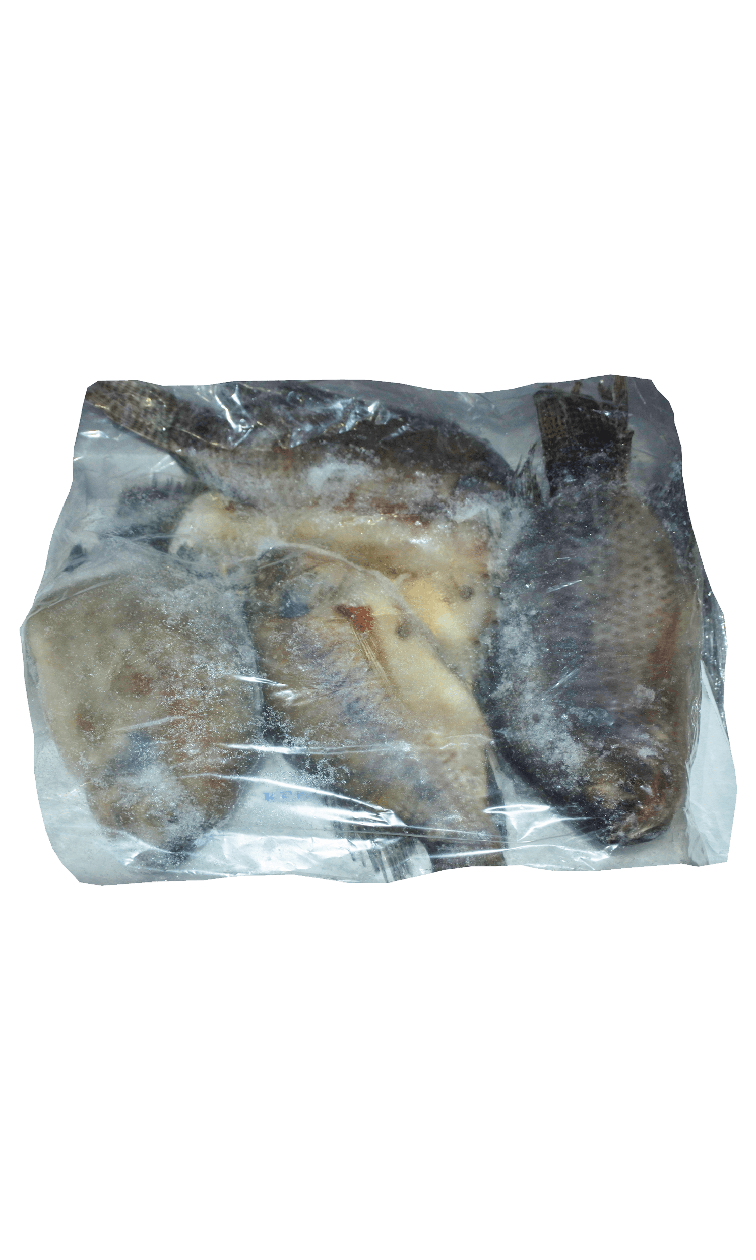 Frozen Tilapia 800/1000 Fishnet