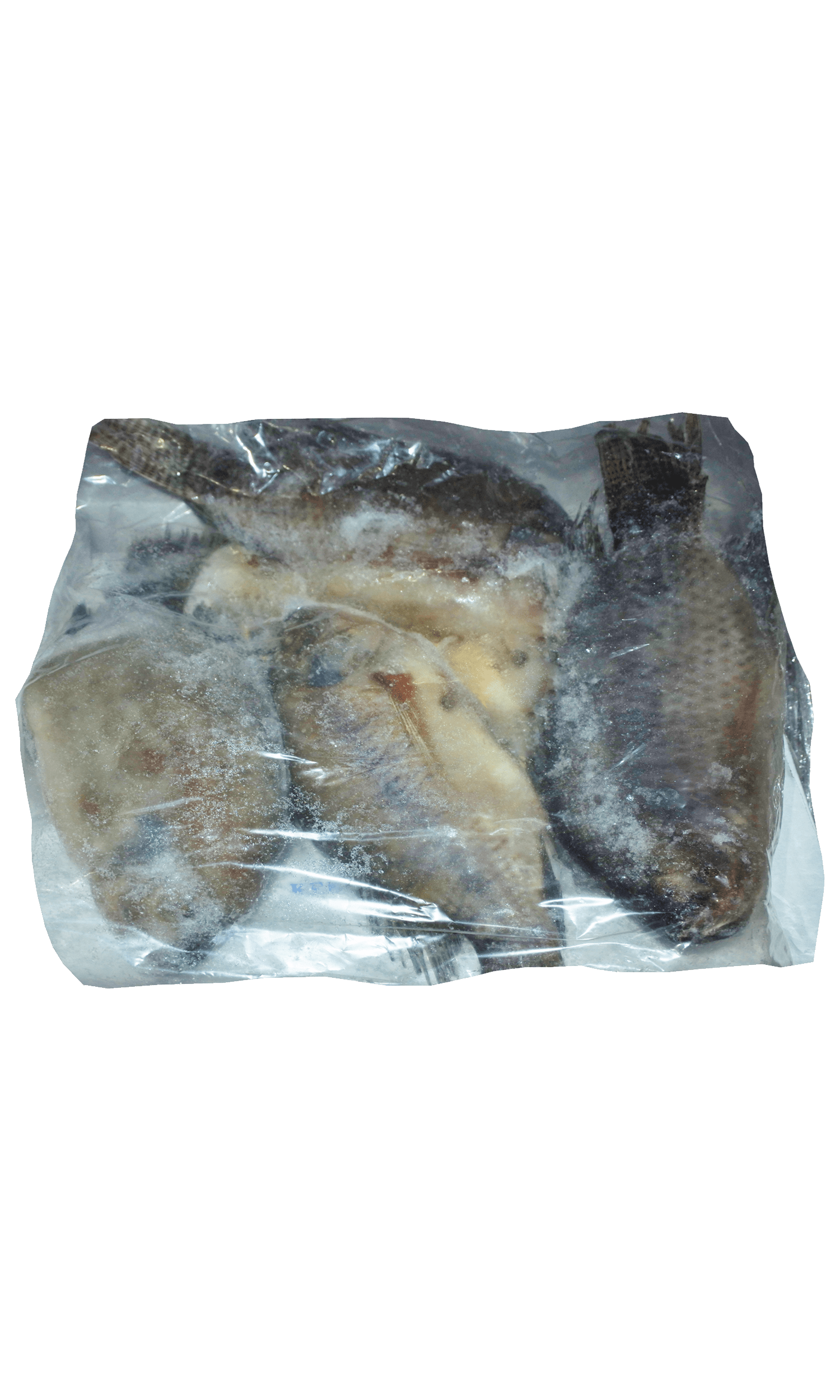 Frozen Tilapia 500/800 Raja Brand