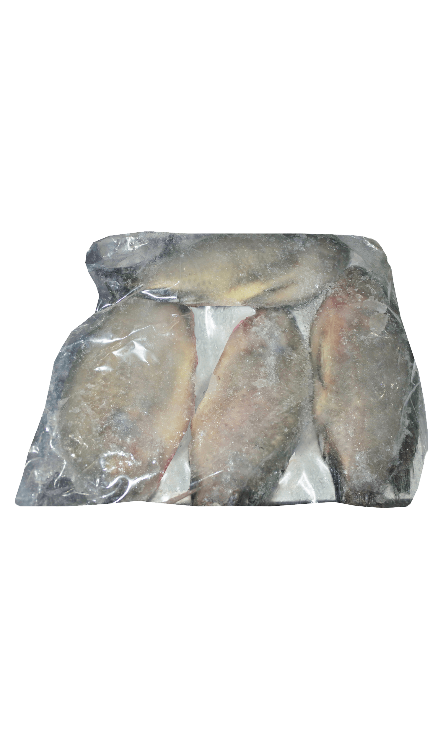 Frozen Tilapia G&S 300/500 Noury