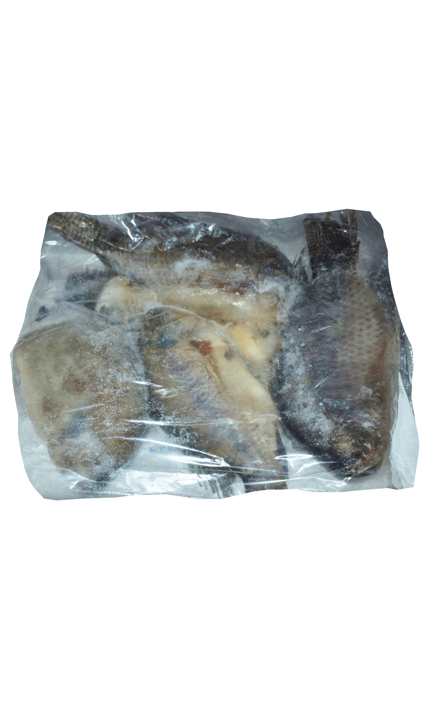 Frozen Tilapia G&S 500/800 Jona
