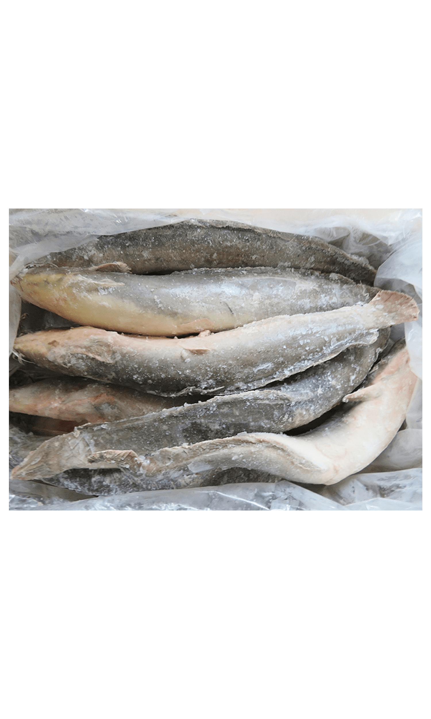 Frozen Catfish WG 500/800